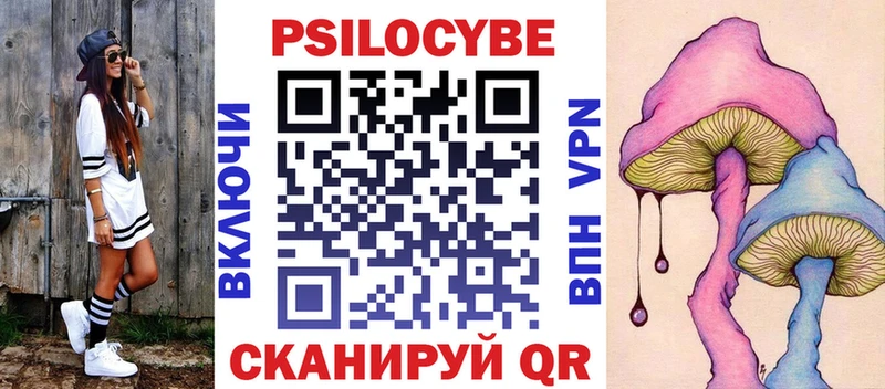 Псилоцибиновые грибы мицелий Шлиссельбург